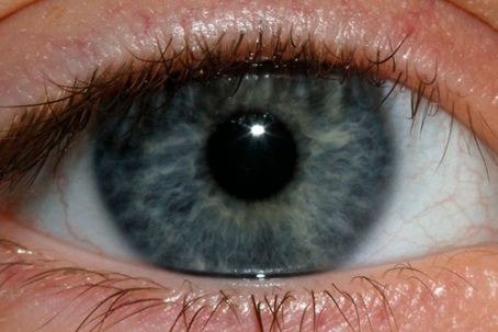 blue-eye.jpg?w=455